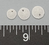 Teeny Tiny Keyhole Sand Dollar - 4mm to 8mm - 32pcs