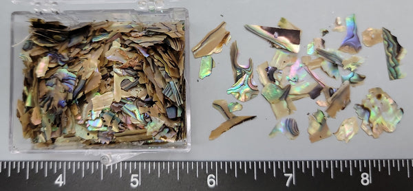 Very thin, Rainbow Abalone (Paua) flakes - 2mm to 25mm - 1.75" x 2" Box