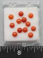 Red Mediterranean Precious Coral- 5mm Round - 12 pcs