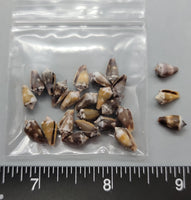 Miniature Cones