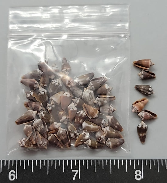 Miniature Cones