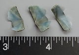 Intense Blue Chiton segments - 12mm to 20mm - 50pcs