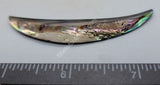 Beautiful Abalone Long Crescent - 1Pc