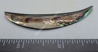 Beautiful Abalone Long Crescent - 1Pc