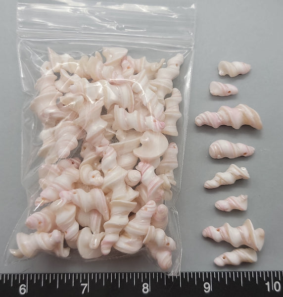 Columella Beads - 10mm to 30mm - 50pcs - These are drilled through the small end