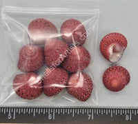 Clean Strawberry Top Shells From East Africa