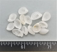 Crystal Thyca Shells