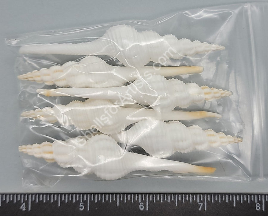 Spindles – Shells for Artists