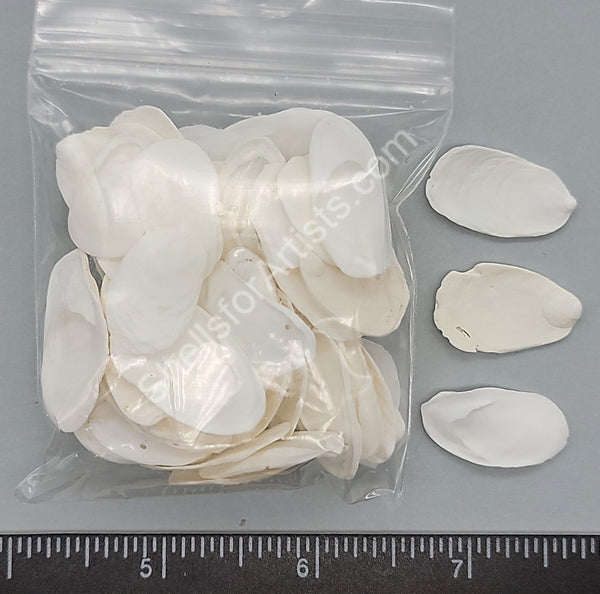 Flat White Slipper Shells