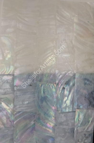 Shell Paper – Shells for Artists