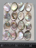 Green Abalone Cabochons - Closeout