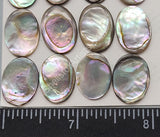 Green Abalone Cabochons - Closeout
