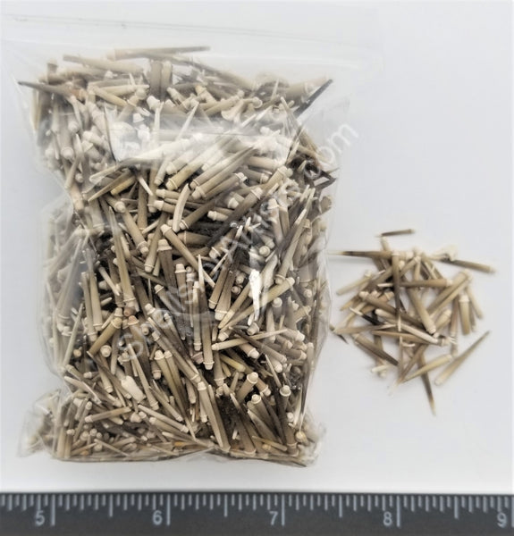 Green/white Sea Urchin Spines Urchin Spines