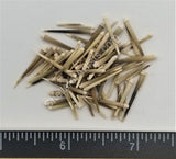 Green/white Sea Urchin Spines Urchin Spines