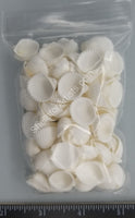 Medium Round White Arc Shell Single Valves