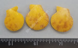 Natural Yellow Scallop Pairs