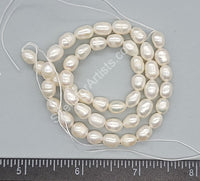 Pure White Baroque Oval Shape Genuine Cultured Pearls