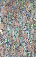 Rainbow (Paua) Abalone