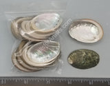 Smooth Abalone Shells