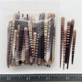 Striped Sea Urchin Spines