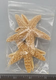 Sugar Sea Stars