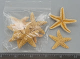 Sugar Sea Stars
