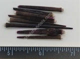 Thick Brown Sea Urchin Spines White Tip