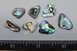 Thin Polished Pieces Of Rainbow/paua Abalone