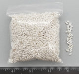 Rice Shells