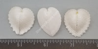 True Heart Cockles