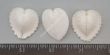 True Heart Cockles