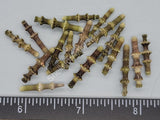Twiglet Sea Urchin Spines