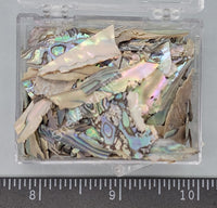 Very Thin Rainbow Abalone (Paua) Chips