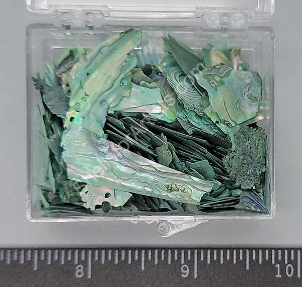 Very Thin Tinted Turquoise Rainbow Abalone (Paua) Chips