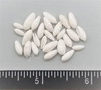 Tiny White Rice Shells