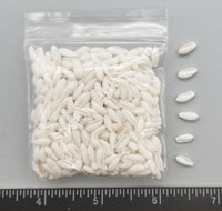 Tiny White Rice Shells